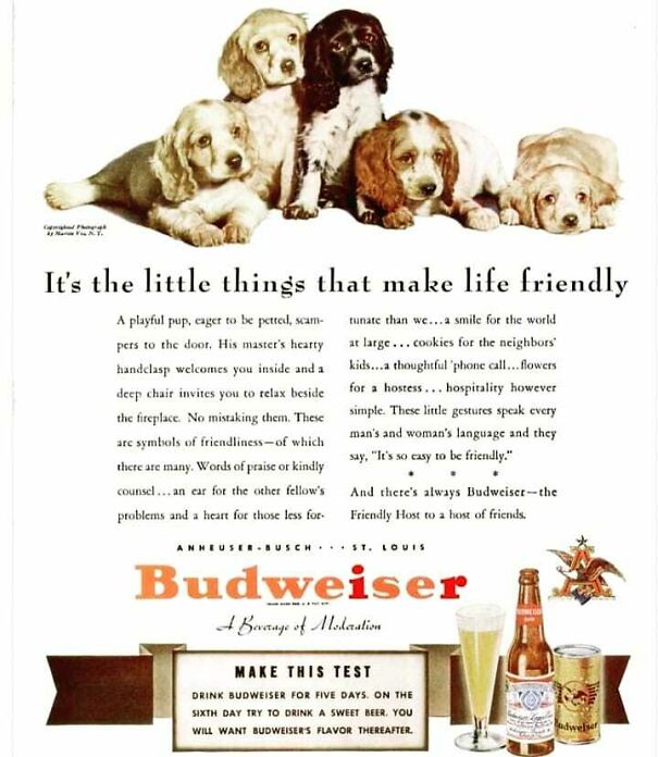 Vintage Budweiser ad with friendly puppies and text highlighting timeless values in vintage ads.