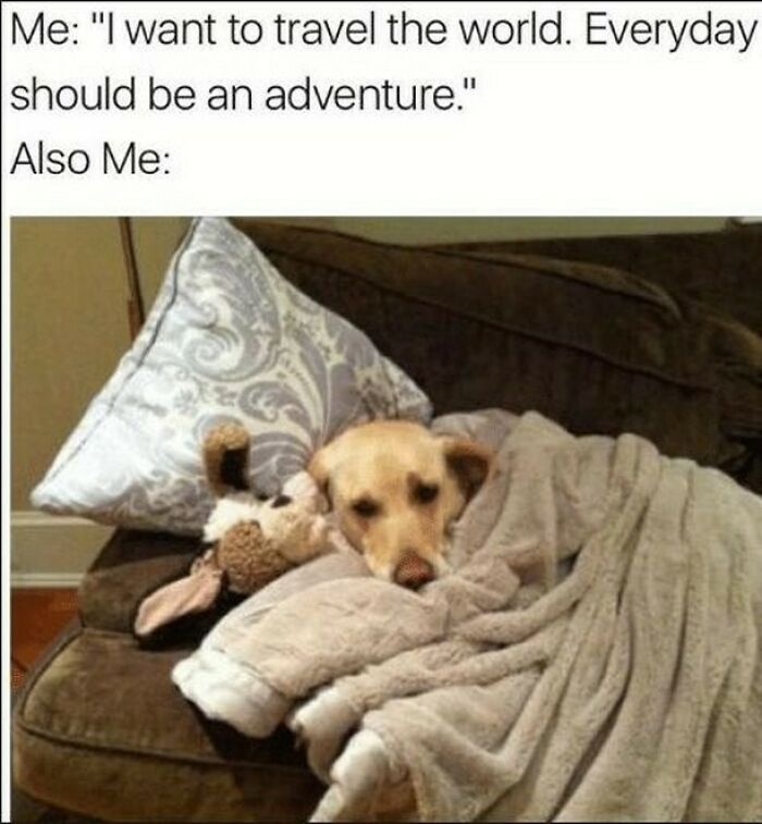 Dog wrapped in a blanket on a couch with a stuffed toy, illustrating hilarious travel memes about actual travel expenses.