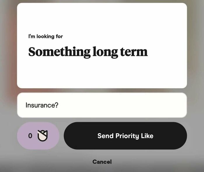 Funny dating app screenshot showing a message about looking for something long term and a humorous reply about insurance.