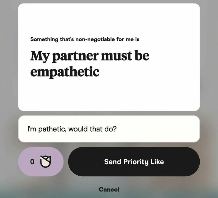 Funny dating app screenshot showing a message that says partner must be empathetic with a witty reply.