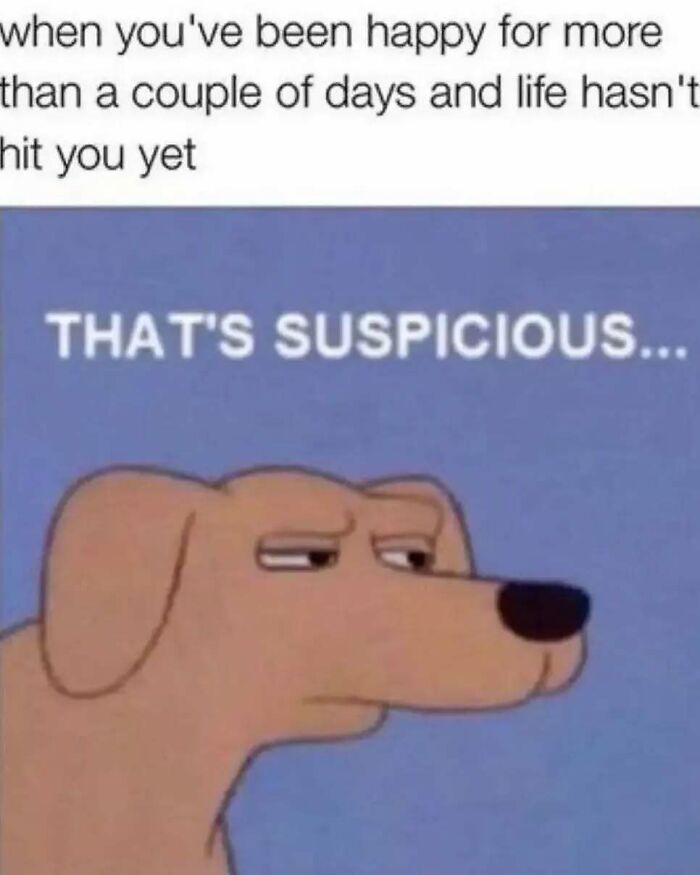 Suspicious dog meme captioned about brief happiness, relatable introvert meme highlighting life moments and moods.