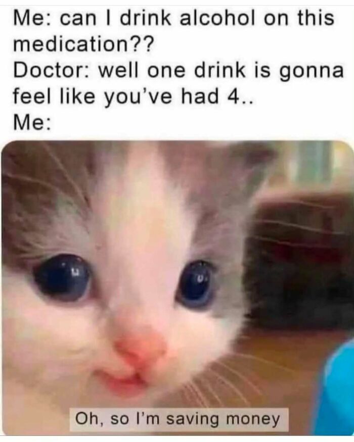 Close-up of a kitten with large eyes and a humorous caption, part of popular cat memes to brighten your day.