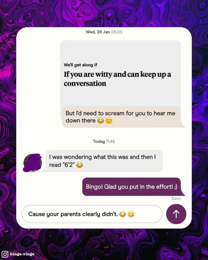 Funny dating app screenshot showing a witty conversation with playful banter and humor on a messaging platform.