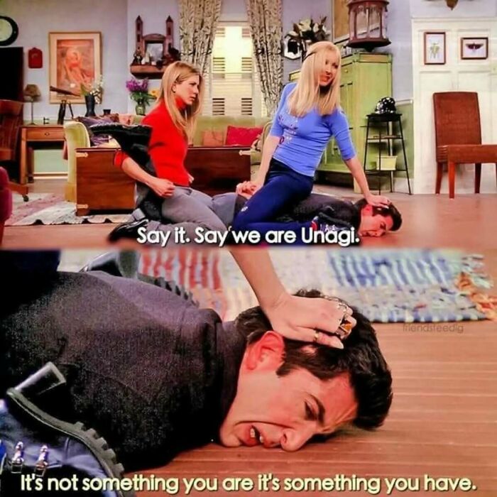 Friends meme with characters Rachel and Phoebe holding Ross down on the floor, highlighting iconic timeless classic moment.