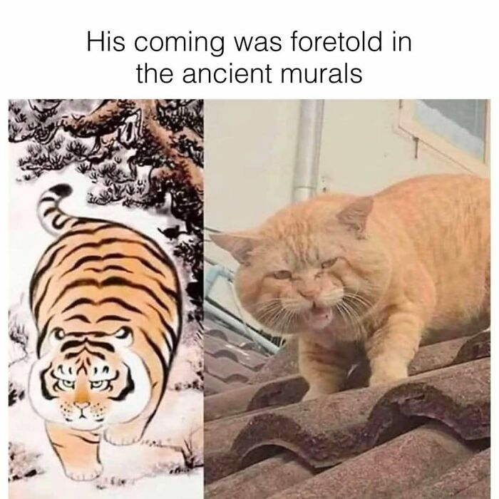 Cartoon of a tiger next to a grumpy orange cat on a roof, perfect for cat memes lovers seeking funny posts.