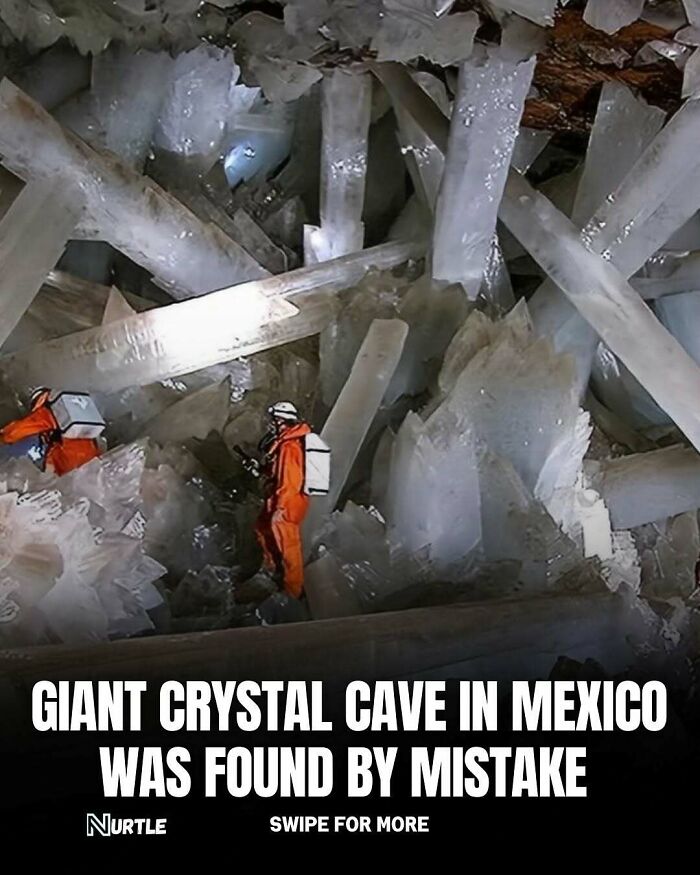 Explorers in giant crystal cave in Mexico discovering random facts that nobody really asked for but are fun to know.