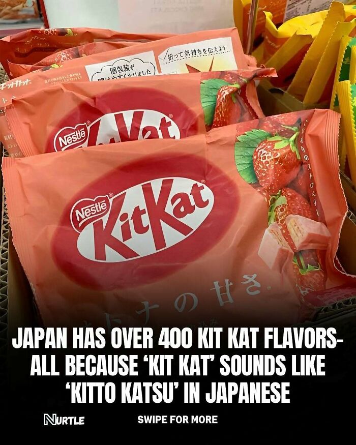 Strawberry Kit Kat packages with a fact about Japan's 400 Kit Kat flavors from random facts that are fun to know.