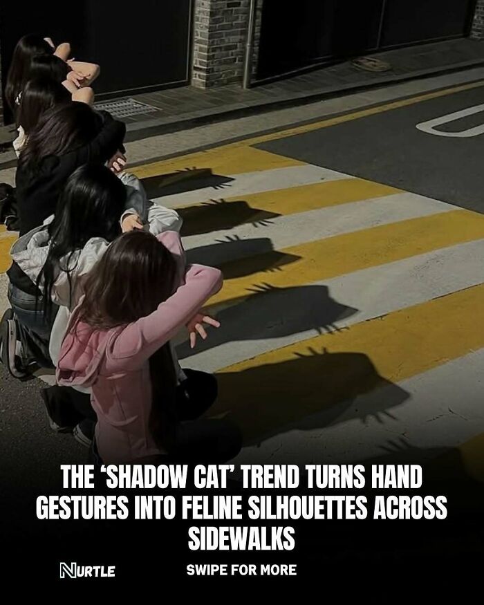 Group of people creating shadow cat hand gestures on a crosswalk, a fun example of random facts to know and share.