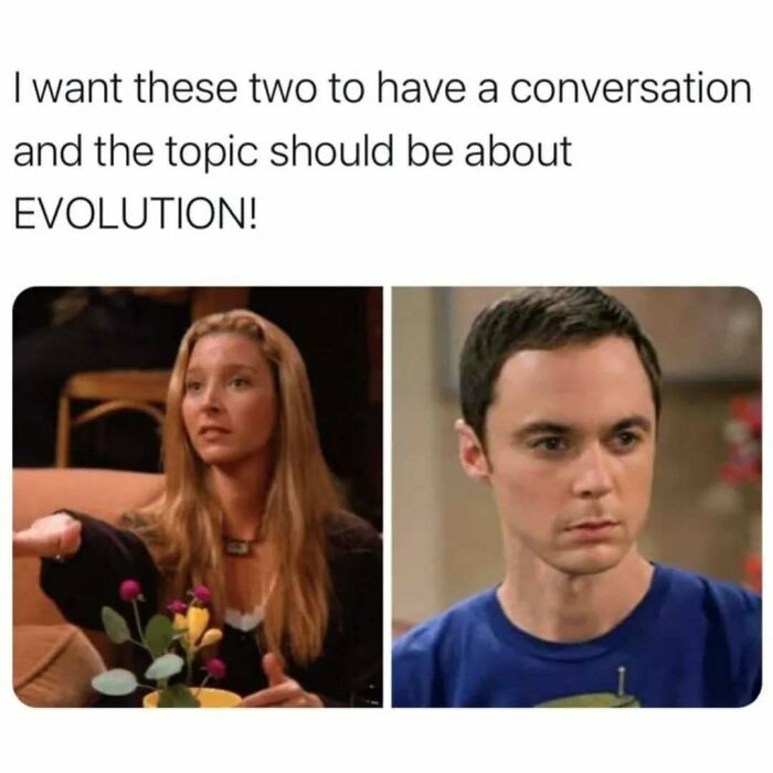 Alternative text: Two characters from Friends pictured with text about wanting their conversation to be about evolution in a popular meme.