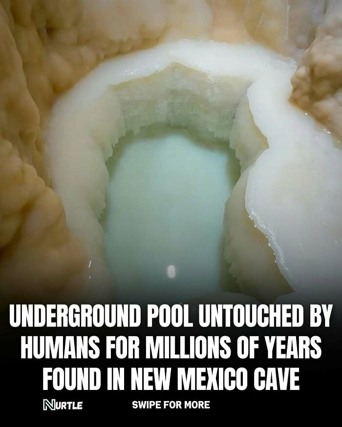Underground pool in New Mexico cave untouched for millions of years showcasing fascinating random facts to know.
