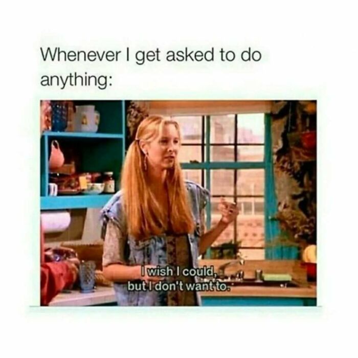 Phoebe from Friends in a kitchen scene saying she wishes she could but doesn’t want to, Friends memes and timeless classic.