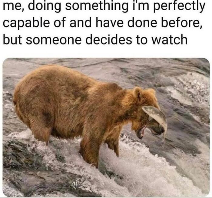 Brown bear with a fish in its mouth looking focused by the river, a relatable therapy meme about being watched while working.