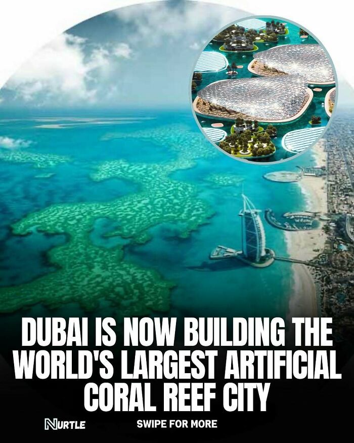 Aerial view of Dubai coastline and an inset showing the futuristic design of the world's largest artificial coral reef city.