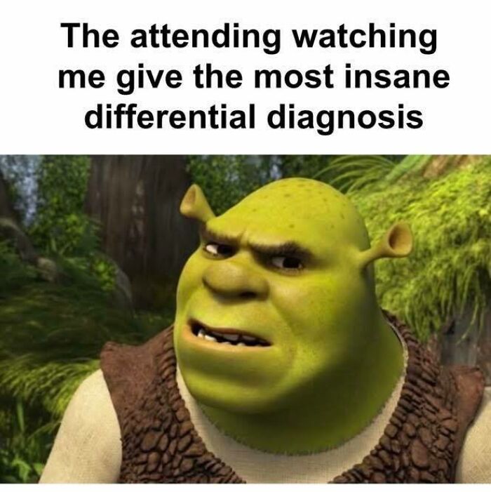 Shrek meme about giving an insane differential diagnosis, humor as the best medicine in healthcare memes.
