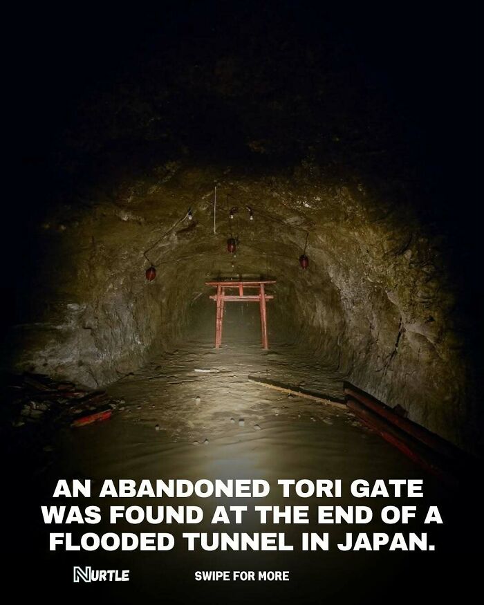 Abandoned tori gate found at flooded tunnel in Japan illustrating random facts that nobody really asked for.