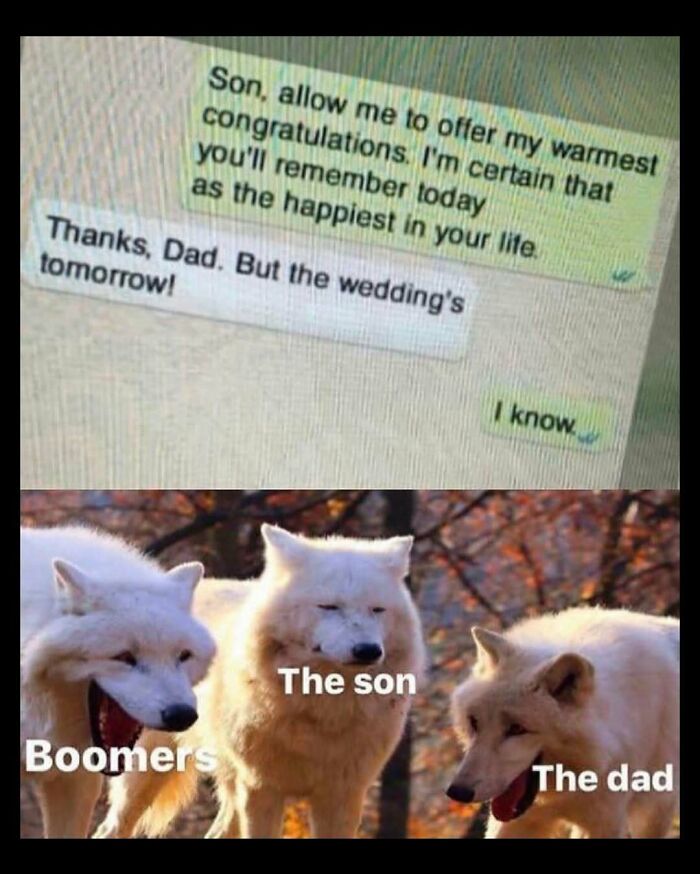 Text message meme about wedding day humor paired with labeled wolf pack meme illustrating boomers, the son, and the dad.