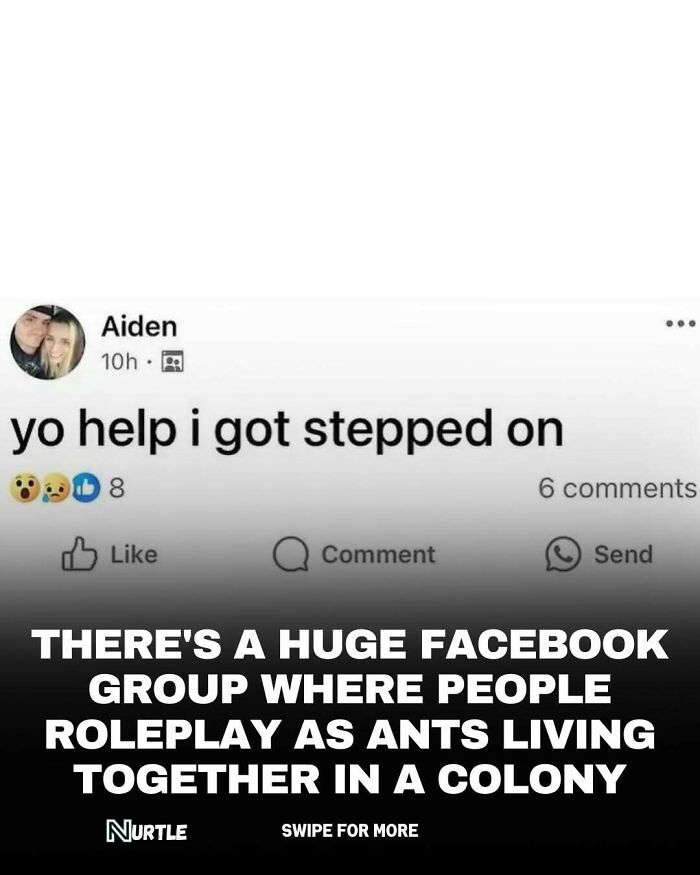 Screenshot of a social media post about a fun random fact on people roleplaying as ants in a colony.