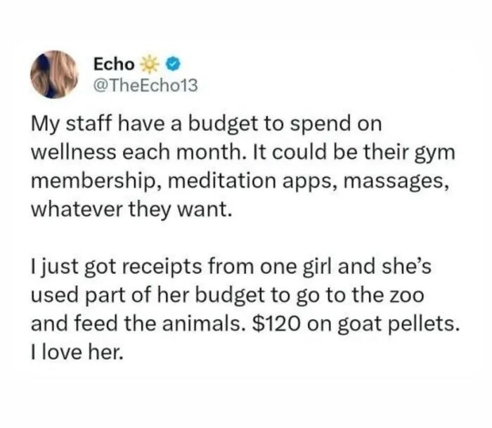 Tweet about staff wellness budget including gym, meditation, massages, and spending on zoo goat pellets in funny therapy memes.