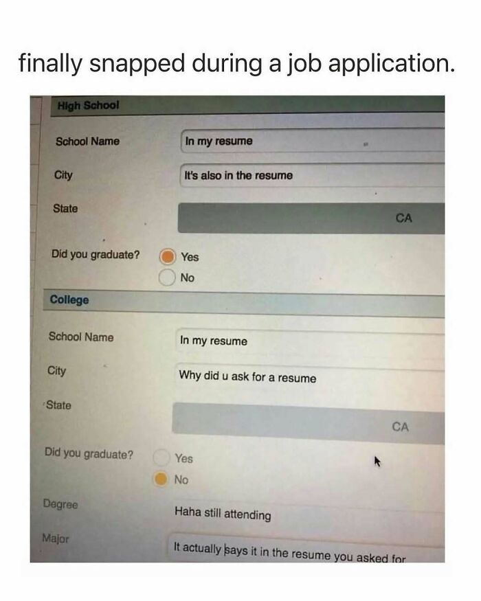 Job application work meme showing sarcastic resume answers for school and college details in an online form.