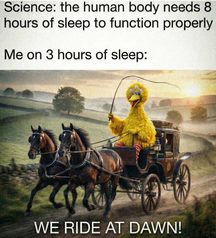 Funny meme showing Big Bird riding a horse carriage at dawn, humorously highlighting lack of sleep and distraction.