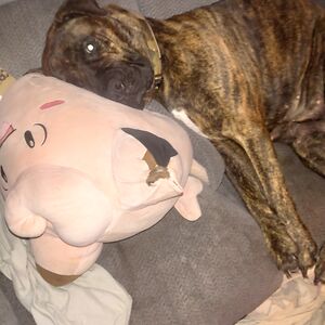 kerryborthwick avatar