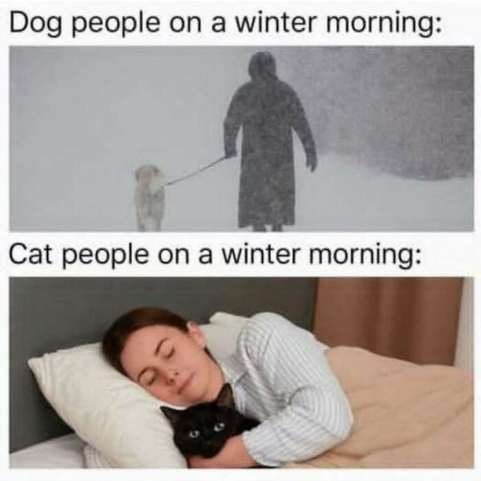 Dog people walk their dog in snow while cat people cuddle a black cat in bed on a winter morning, cat memes humor.