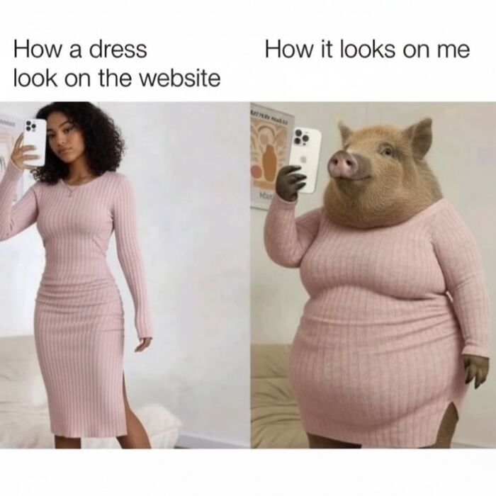 Comparison meme showing a stylish dress on website versus a pig in the same dress, highlighting funny memes distraction.