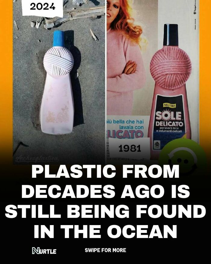 Old plastic bottle found in ocean from 1981 and 2024, illustrating random facts about plastic pollution over decades.