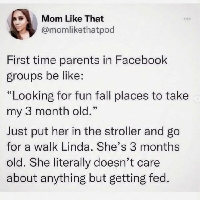 Screenshot of a funny meme about first-time parents in Facebook groups, illustrating humor and funny memes.