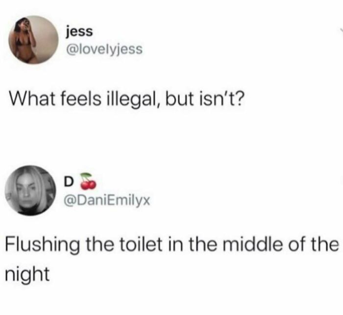 Funny meme text exchange about what feels illegal but isn't, mentioning flushing the toilet in the middle of the night.