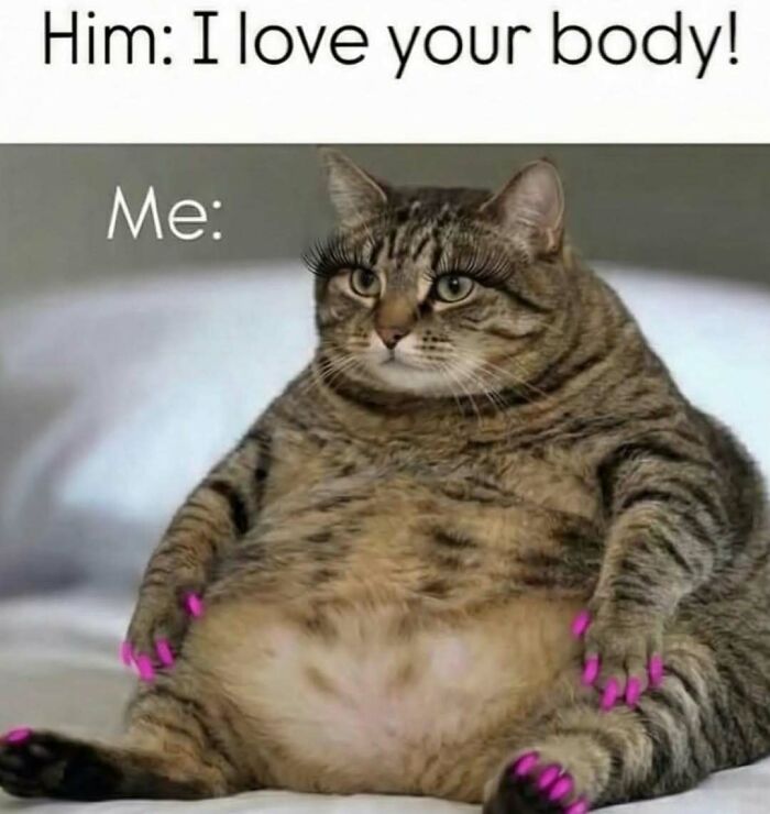 Funny meme of a chubby cat with long lashes and painted nails, humorously responding to a compliment about body.