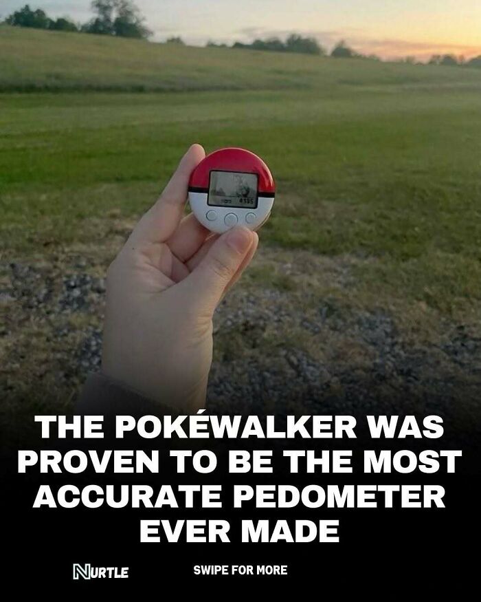 Hand holding a Pokéwalker pedometer outdoors at sunset with a grassy field in the background fun random facts