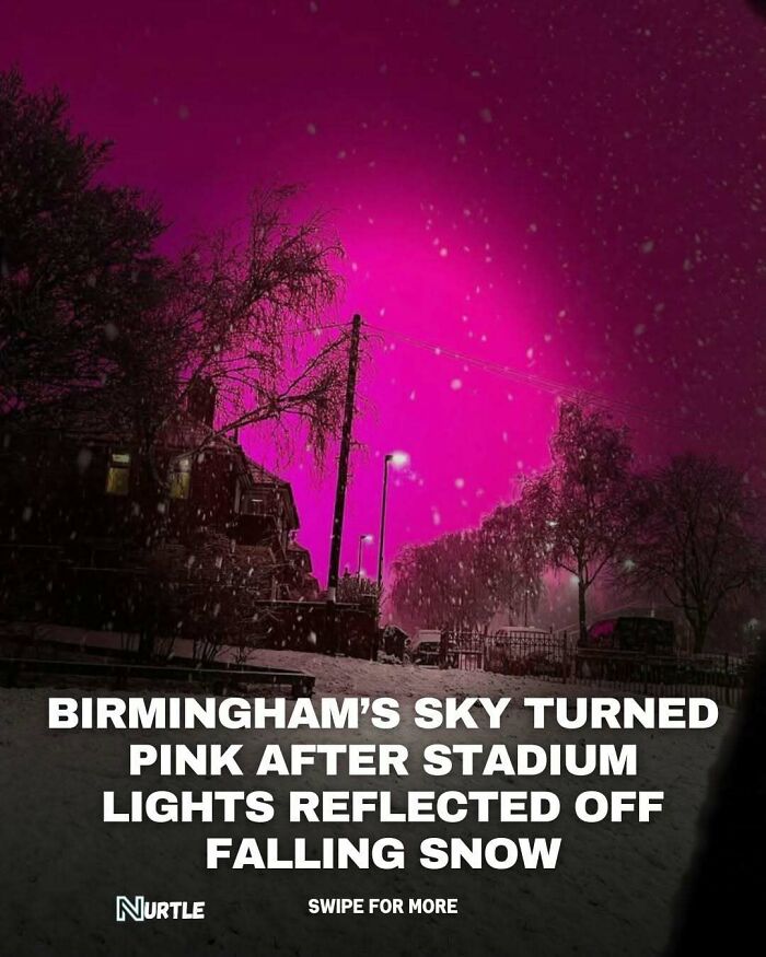 Birmingham sky turns pink as stadium lights reflect off falling snow in a random facts fun to know moment.