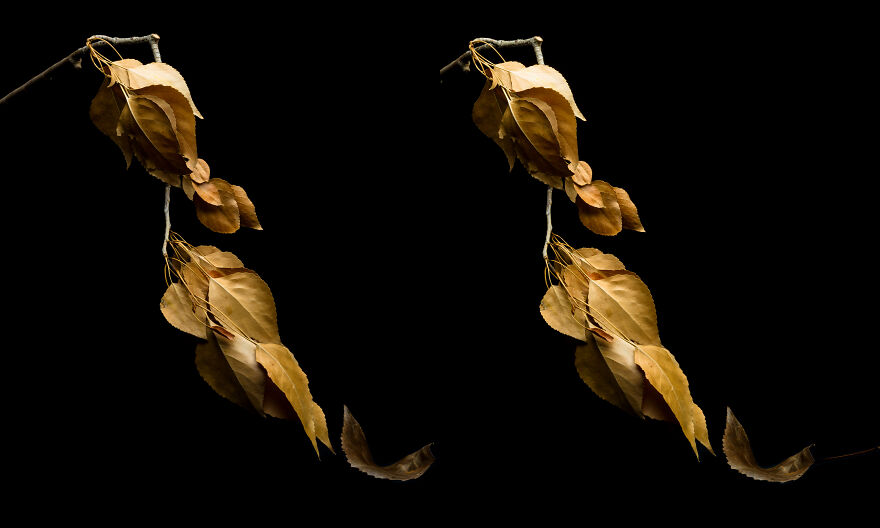 I Revived A Historic 3D Photo Technique And People Are Fascinated. I Revived A Historic 3D Photo Technique And People Are Fascinated.