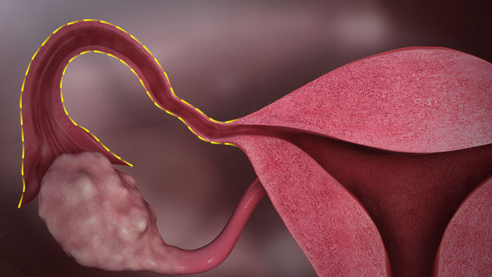62 Medical Facts That Sound Made Up Even Though They Are True