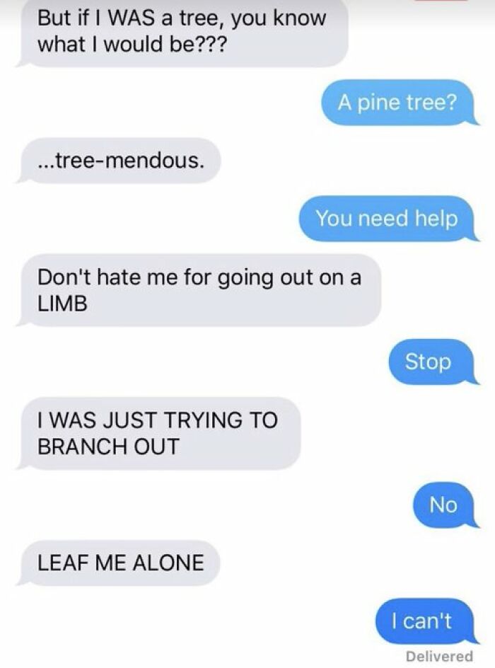 Funny text conversation with tree puns, showing playful banter related to anxiety prime humor and wordplay.