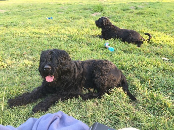 Beanie Mcbeanface And Chyna Girl