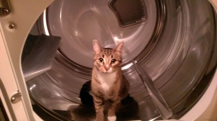 MS Atti (MS Attitude Rip). I Could Fill This Whole Thread LOL