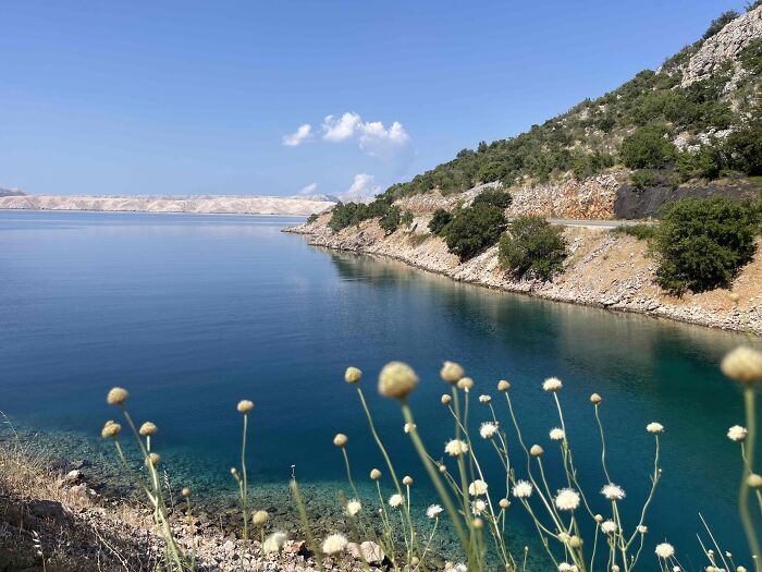 A Family Road Trip, Two Old Harleys, And 8,500 KM Of Hope For A 15-Year-Old With Cancer 