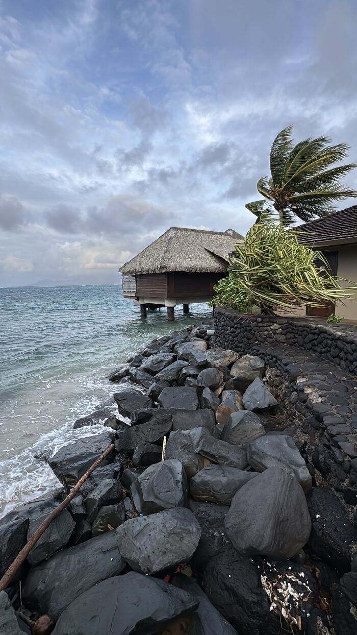Overwater bungalow by rocky shore with palm tree and vibrant blue ocean under cloudy sky in French Polynesia.