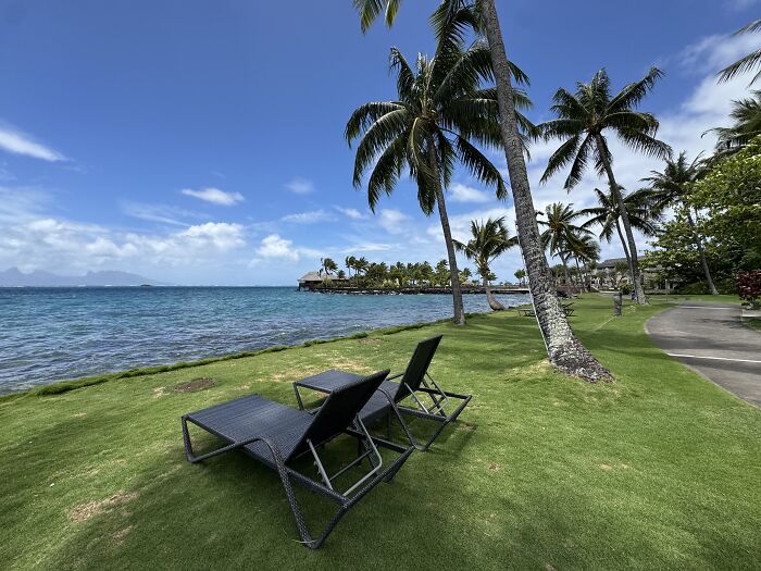 Two lounge chairs on lush green grass beside turquoise blue waters under palm trees in French Polynesia.