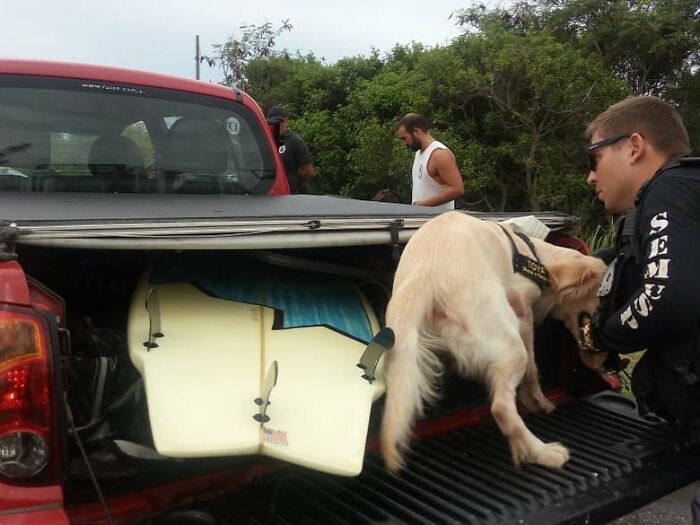 Man in uniform interacting with a dog near a pickup truck, highlighting bond between wild vulture and human friendship. Man in uniform interacting with a dog near a pickup truck, highlighting bond between wild vulture and human friendship.