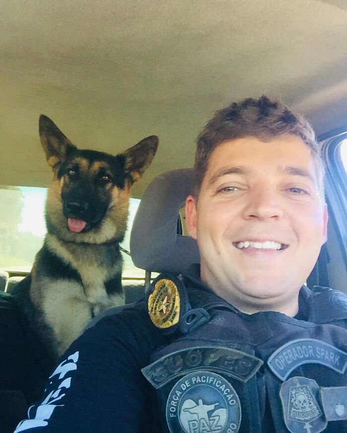 Man smiling in a car with a German shepherd behind him, illustrating a wild vulture bonded closely with a human concept.