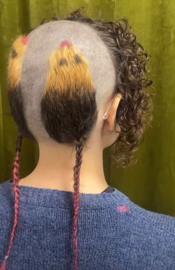 Unusual disastrous hairstyle featuring shaved head with colored patches and two long braids, curly hair on one side.