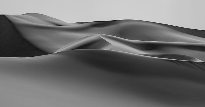 Abstract black and white image with smooth flowing shapes resembling animal forms in a stunning non professional animal photo.