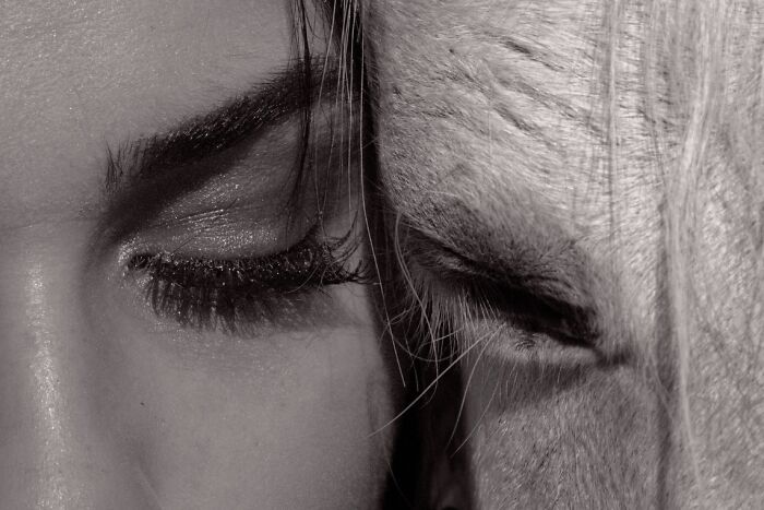 Close-up black and white photo showing the eyes of a woman and a horse, capturing stunning animal photo details.