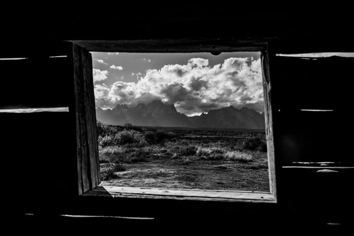 Black and white landscape photo framed by a rustic window, showcasing nature in stunning animal photos from non professional category.