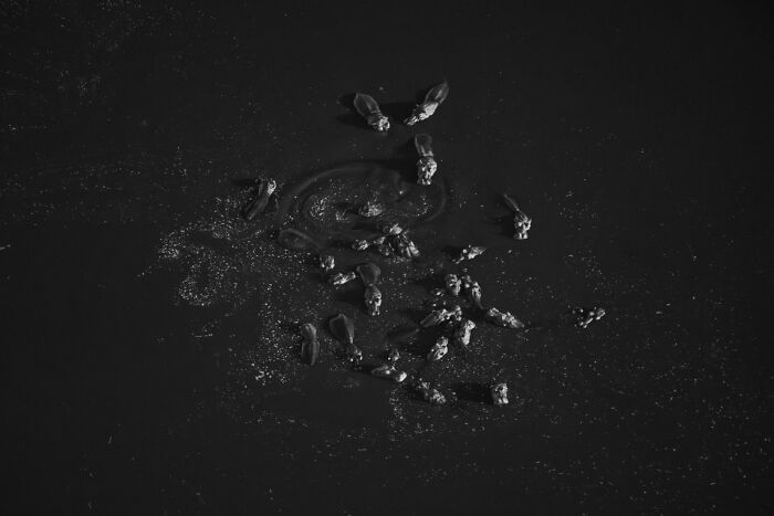 Aerial photo of swimmers creating patterns in water, showcasing breathtaking aerial photography from the Exposure One Awards.