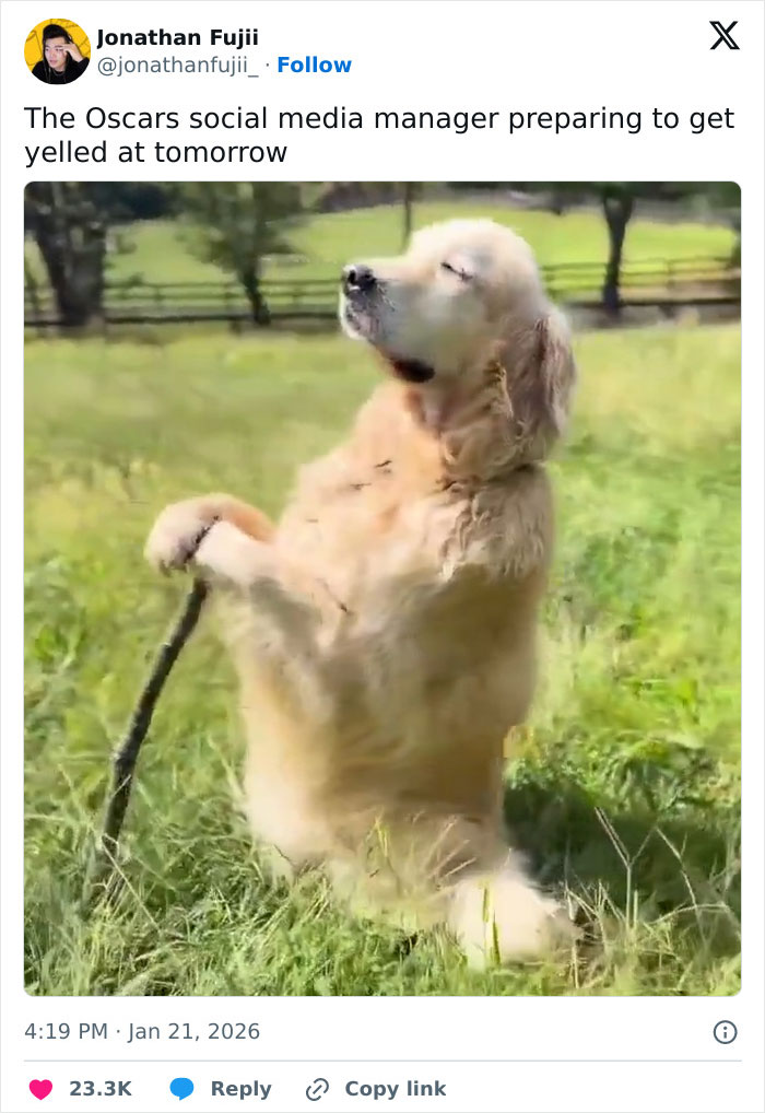 Golden retriever standing on hind legs holding a stick outdoors, illustrating humor related to Academy releases 2026 Oscar nominations.
