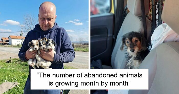 Inside Serbia’s Largest Shelter, A Small Team Is Caring For Over A Thousand Animals (37 Pics)